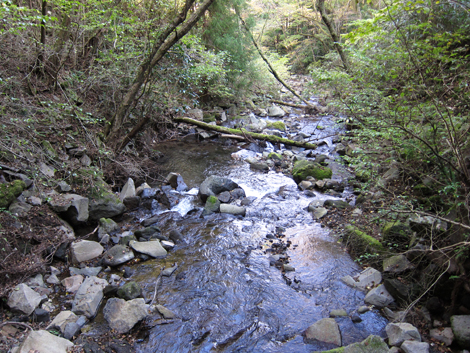 20201105hike (224)